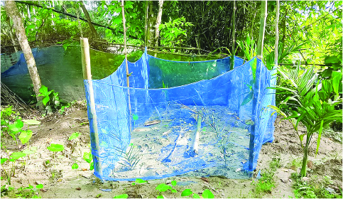 Image of সফিক মিয়া